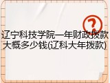 辽宁科技学院一年财政拨款大概多少钱(辽科大年拨款)