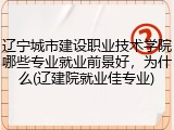 辽宁城市建设职业技术学院哪些专业就业前景好，为什么(辽建院就业佳专业)