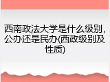 西南政法大学是什么级别，公办还是民办(西政级别及性质)