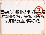 西安航空职业技术学院有没有就业指导，好就业吗(西安职院就业指导好吗)
