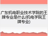 广东机电职业技术学院的王牌专业是什么(机电学院王牌专业)