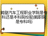 鹤壁汽车工程职业学院是专科还是本科院校呢(鹤职院是专科吗)