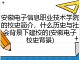 安徽电子信息职业技术学院的校史简介，什么历史与社会背景下建校的(安徽电子校史背景)