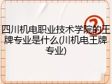 四川机电职业技术学院的王牌专业是什么(川机电王牌专业)