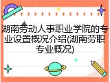 湖南劳动人事职业学院的专业设置概况介绍(湖南劳职专业概况)