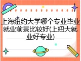 上海纽约大学哪个专业毕业就业前景比较好(上纽大就业好专业)