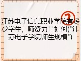 江苏电子信息职业学院有多少学生，师资力量如何("江苏电子学院师生规模")