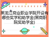 黑龙江商业职业学院开设有哪些奖学和助学金(黑商职院奖助学金)