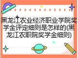 黑龙江农业经济职业学院奖学金评定细则是怎样的(黑龙江农职院奖学金细则)