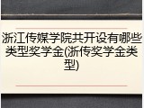 浙江传媒学院共开设有哪些类型奖学金(浙传奖学金类型)