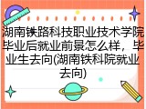 湖南铁路科技职业技术学院毕业后就业前景怎么样，毕业生去向(湖南铁科院就业去向)