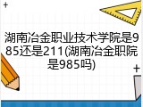 湖南冶金职业技术学院是985还是211(湖南冶金职院是985吗)