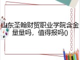 山东圣翰财贸职业学院含金量量吗，值得报吗()