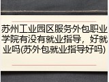 苏州工业园区服务外包职业学院有没有就业指导，好就业吗(苏外包就业指导好吗)