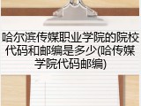 哈尔滨传媒职业学院的院校代码和邮编是多少(哈传媒学院代码邮编)
