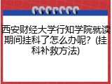 西安财经大学行知学院就读期间挂科了怎么办呢？(挂科补救方法)