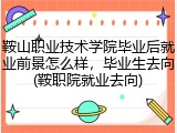 鞍山职业技术学院毕业后就业前景怎么样，毕业生去向(鞍职院就业去向)