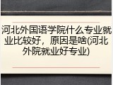 河北外国语学院什么专业就业比较好，原因是啥(河北外院就业好专业)