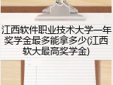 江西软件职业技术大学一年奖学金最多能拿多少(江西软大最高奖学金)