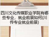 四川文化传媒职业学院有哪些专业，就业前景如何(川传专业就业前景)