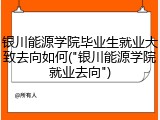 银川能源学院毕业生就业大致去向如何("银川能源学院就业去向")