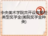 中央美术学院共开设有哪些类型奖学金(美院奖学金种类)