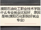 濮阳石油化工职业技术学院什么专业就业比较好，原因是啥(濮阳石化职院好就业专业)