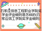 石家庄信息工程职业学院奖学金评定细则是怎样的(石家庄信工学院奖学金细则)