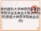 贵州医科大学神奇民族医药学院毕业生就业大致去向如何(贵医大神奇学院就业去向)