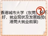 香港城市大学（东莞）好不好，就业现状及发展趋势(港莞大就业前景)