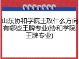山东协和学院主攻什么方向有哪些王牌专业(协和学院王牌专业)