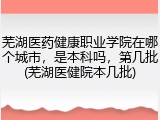 芜湖医药健康职业学院在哪个城市，是本科吗，第几批(芜湖医健院本几批)