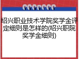 绍兴职业技术学院奖学金评定细则是怎样的(绍兴职院奖学金细则)