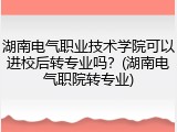 湖南电气职业技术学院可以进校后转专业吗？(湖南电气职院转专业)
