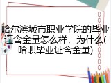 哈尔滨城市职业学院的毕业证含金量怎么样，为什么(哈职毕业证含金量)