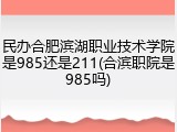 民办合肥滨湖职业技术学院是985还是211(合滨职院是985吗)
