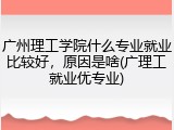 广州理工学院什么专业就业比较好，原因是啥(广理工就业优专业)