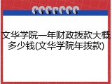 文华学院一年财政拨款大概多少钱(文华学院年拨款)