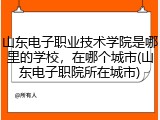 山东电子职业技术学院是哪里的学校，在哪个城市(山东电子职院所在城市)