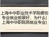 上海中华职业技术学院哪些专业就业前景好，为什么(上海中华职院高就业专业)