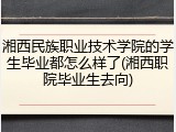 湘西民族职业技术学院的学生毕业都怎么样了(湘西职院毕业生去向)