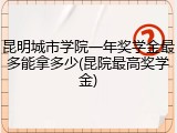 昆明城市学院一年奖学金最多能拿多少(昆院最高奖学金)