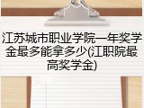 江苏城市职业学院一年奖学金最多能拿多少(江职院最高奖学金)