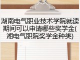 湖南电气职业技术学院就读期间可以申请哪些奖学金(湘电气职院奖学金种类)