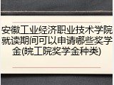 安徽工业经济职业技术学院就读期间可以申请哪些奖学金(皖工院奖学金种类)