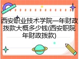 西安职业技术学院一年财政拨款大概多少钱(西安职院年财政拨款)