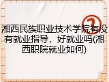 湘西民族职业技术学院有没有就业指导，好就业吗(湘西职院就业如何)