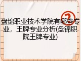 盘锦职业技术学院有哪些专业，王牌专业分析(盘锦职院王牌专业)