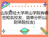 山东财经大学燕山学院有哪些知名校友，简单分析(山财燕院校友)