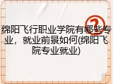 绵阳飞行职业学院有哪些专业，就业前景如何(绵阳飞院专业就业)